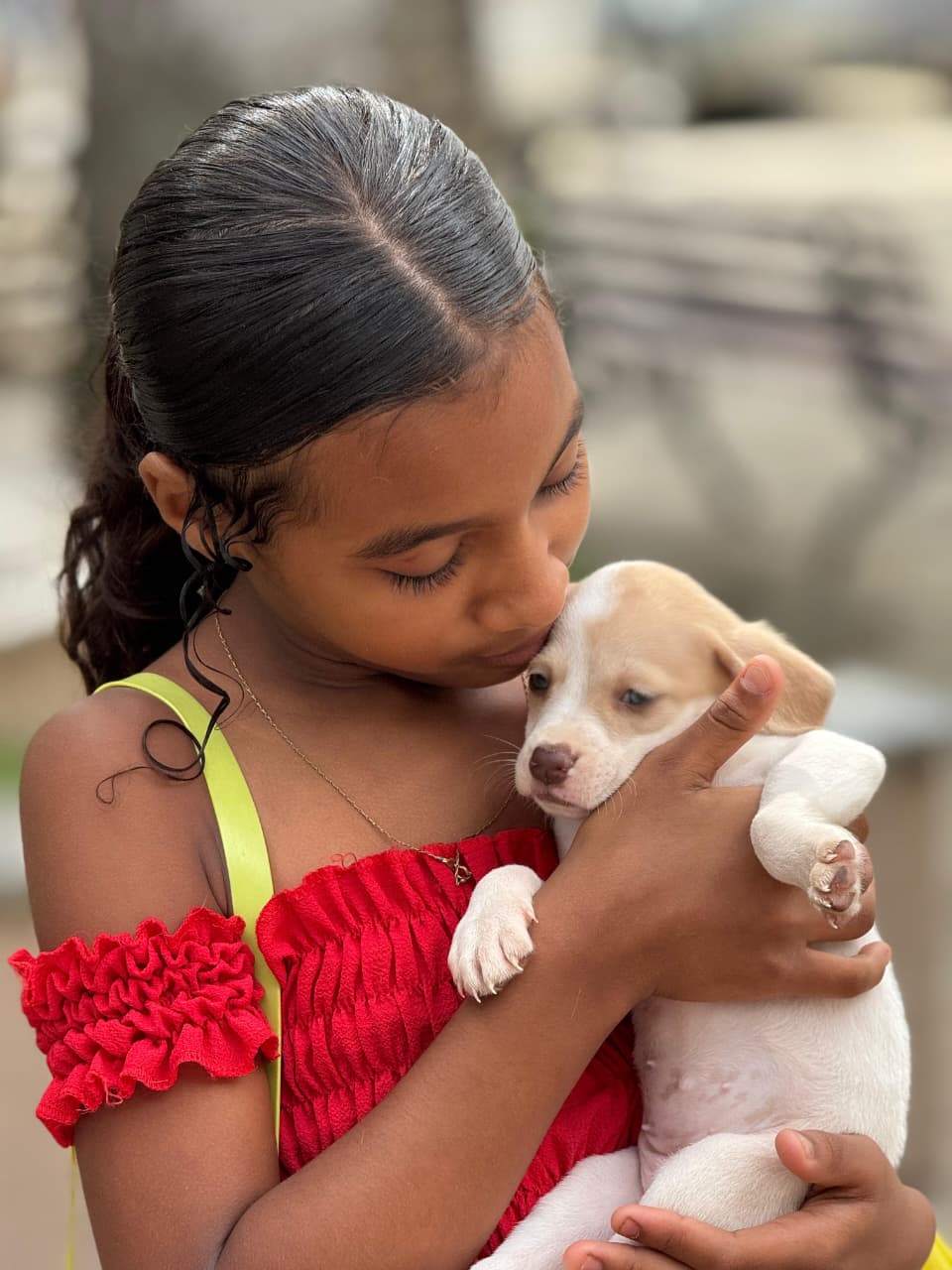 Filhotes de cães estarão disponíveis para adoção nesta sexta-feira (06) na Praça Senador Temístocles