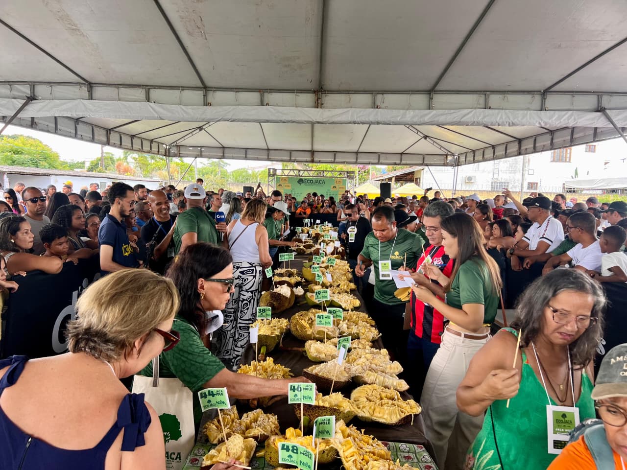 ECOJACA 2026 acontece neste domingo (08), pela manhã, no Solar Eventos