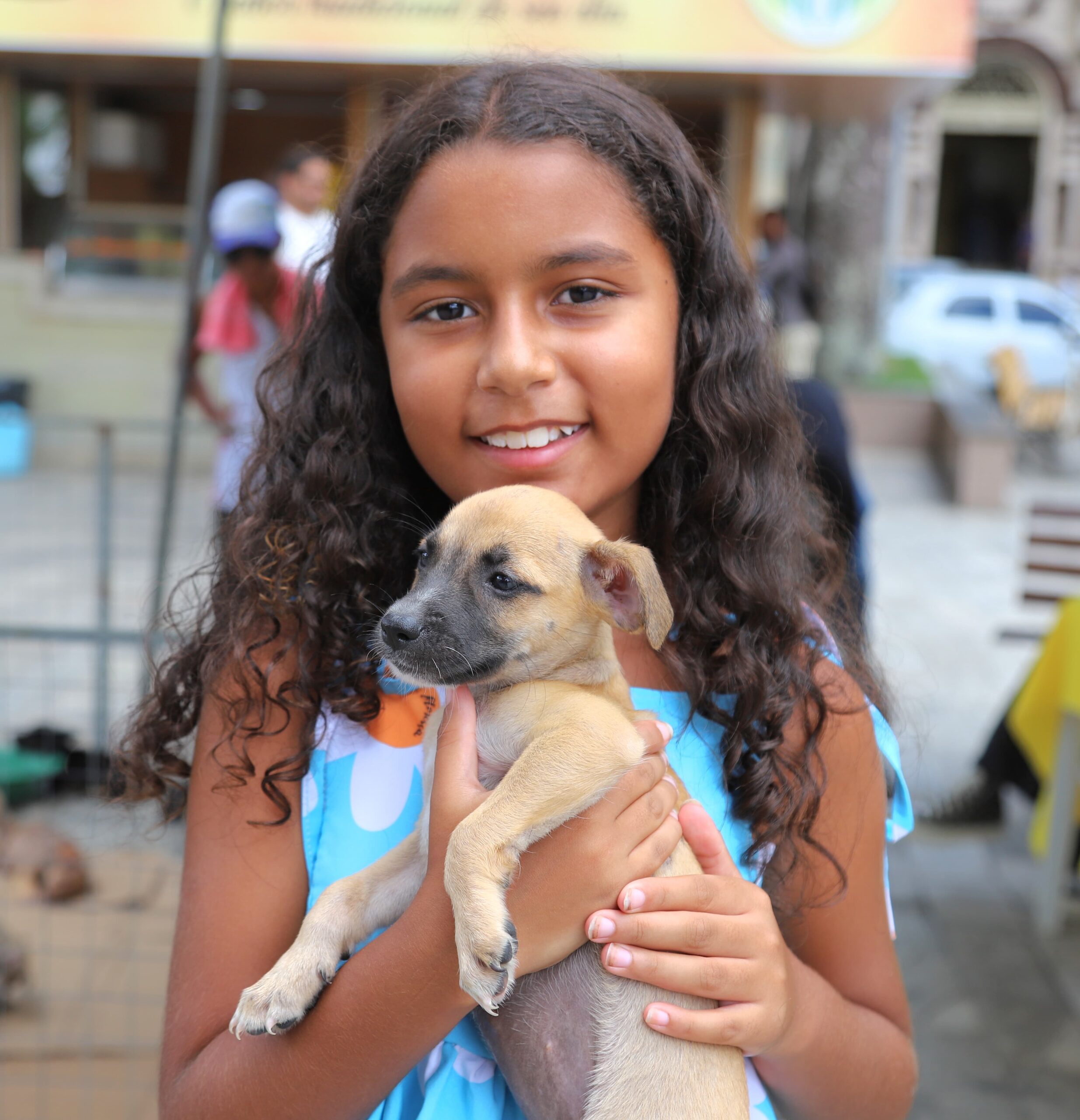 Adote Pet acontece nesta sexta-feira (17) na Praça Senador Temístocles com serviços de adoção e cuidados veterinários