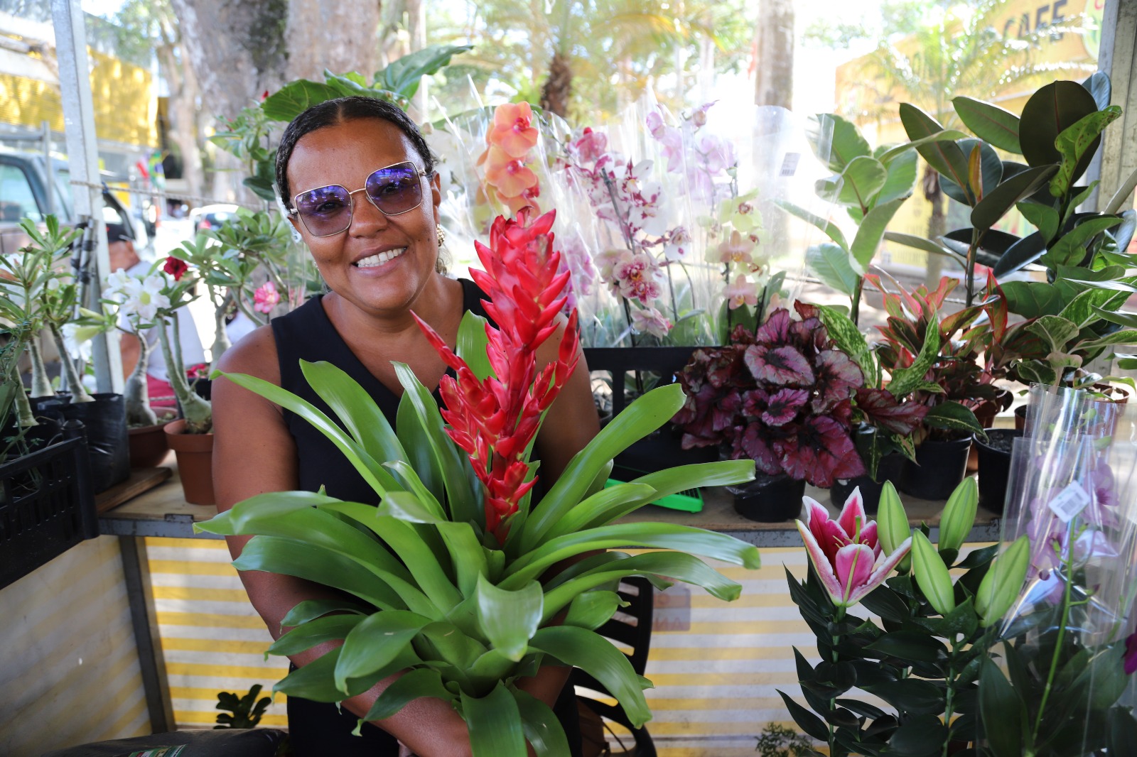 Vila Artesã e Cidade das Flores acontecem nesta sexta (10) e sábado (11)