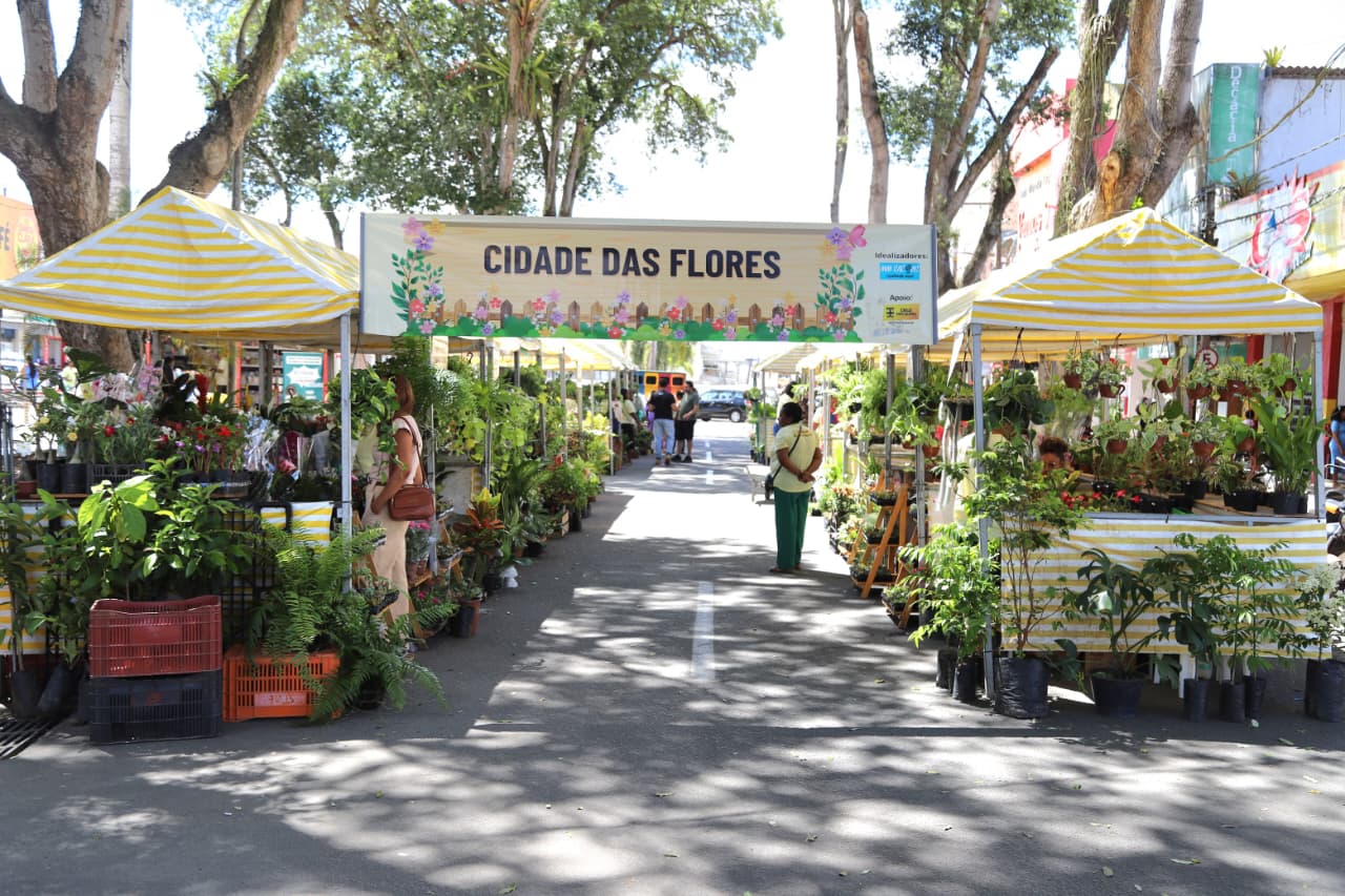 Cidade das Flores acontece nesta sexta (10) e sábado (11) e leva diversas opções de plantas ornamentais para Praça Senador Temístocles